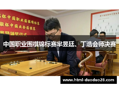 中国职业围棋锦标赛芈昱廷、丁浩会师决赛