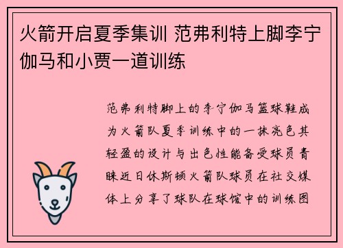 火箭开启夏季集训 范弗利特上脚李宁伽马和小贾一道训练 火箭开启夏季集训 范弗利特上脚李宁伽马和小贾一道训练